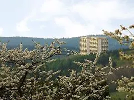Oberharz Хоегайс
